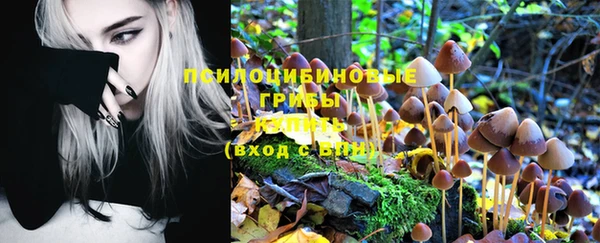 ГАЛЛЮЦИНОГЕННЫЕ ГРИБЫ Аркадак