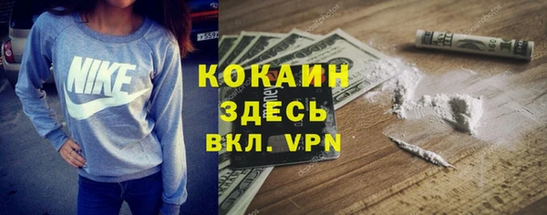 ГАЛЛЮЦИНОГЕННЫЕ ГРИБЫ Аркадак