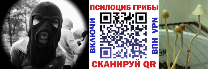 Галлюциногенные грибы MAGIC MUSHROOMS купить цена Светлоград